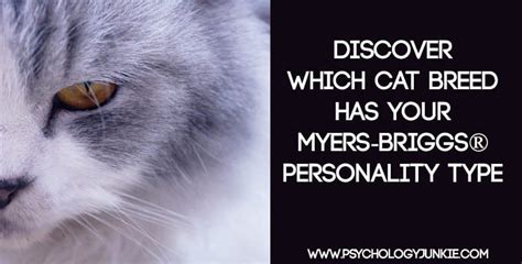 Which Cat Breed Fits Your Myers-Briggs® Personality Type - Psychology ...