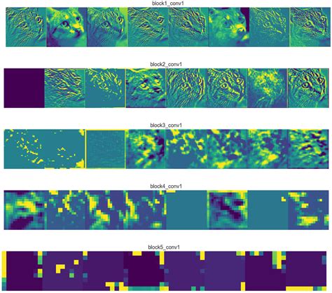 Applied Deep Learning - Part 4: Convolutional Neural Networks | by ...