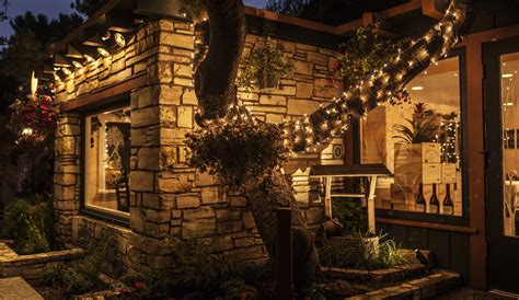 Tree House Cafe, Carmel - eat on the fairy light lit terrace Home Bar ...