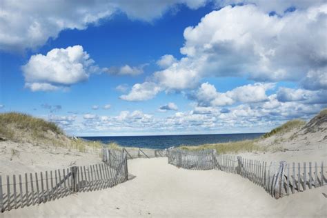 Your Ultimate Guide to the Best Beaches in Provincetown, MA - Admiral's ...