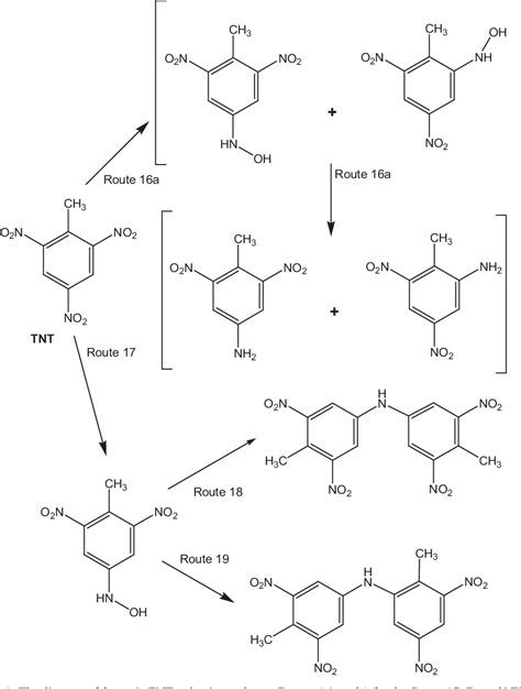 Trinitrotoluene Synthesis