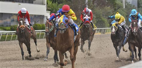 5 cosas que no sabías de las carreras de caballos en México - Martha ...