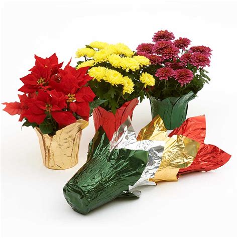 6" Foil Pot Cover - Floral Supply Syndicate - Floral Gift Basket and ...