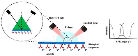 Biosensors | Free Full-Text | Surface Plasmon Resonance (SPR) Sensor ...