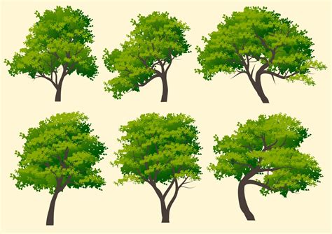 Set of Six Stylized Trees Graphic by americodealmeida · Creative Fabrica