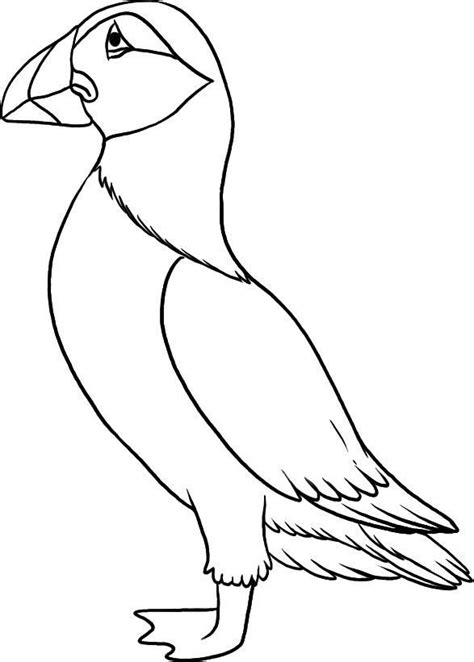 Puffin Coloring Pages at GetColorings.com | Free printable colorings ...