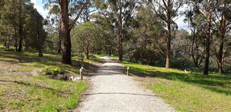 Wattle Park (Melbourne): UPDATED 2021 All You Need to Know Before You ...