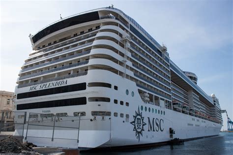 MSC Splendida - description, photos, position, cruise deals