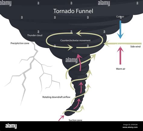 Vector illustration of tornado formation. Tornado structure. Natural ...