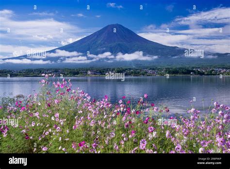 Mount Fuji from Lake Kawaguchi Stock Photo - Alamy