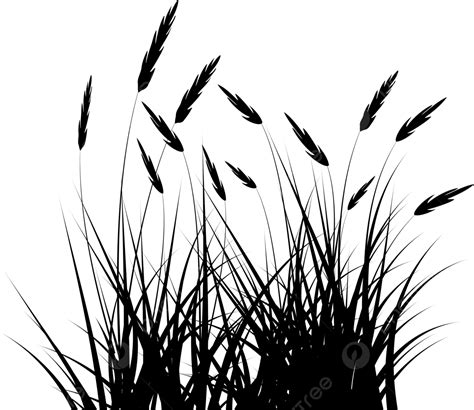 Grass Silhouette, Grass, Silhouette, Black PNG and Vector with ...