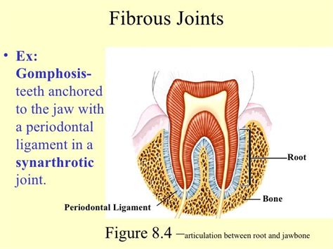 Unit 8 Ppt