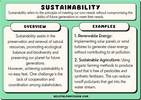 21 Sustainability Examples (2024)