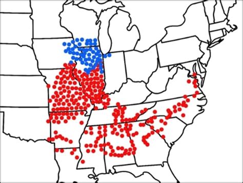 Billions of cicadas will emerge in rare 2024 double-brood event - The ...