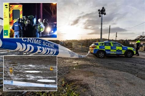 Man, 44, shot four times on Wicklow building site on Thursday survived ...