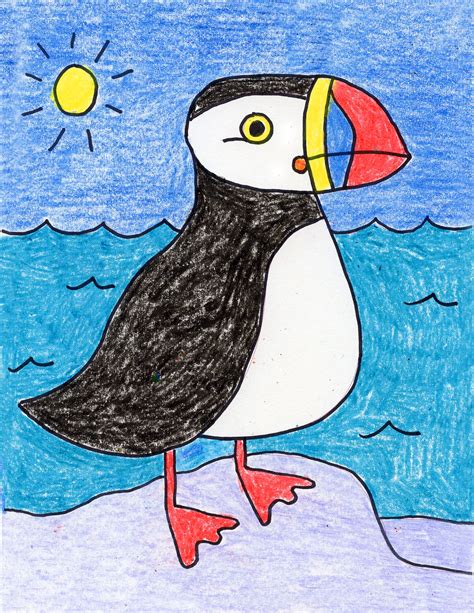 Tufted Puffin Drawing