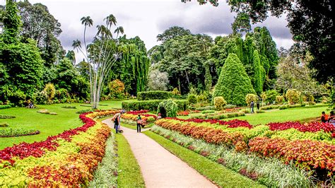 Royal Botanic Garden and Village Life Tour from Kandy - 【Lakpura™】