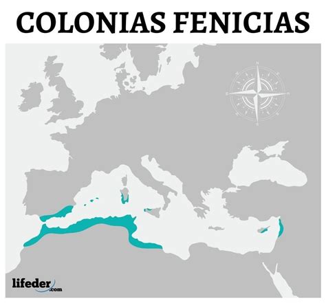 Fenicios: características, ubicación, sociedad, economía