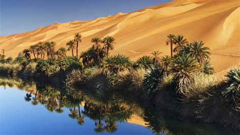 1364x768 resolution | brown desert beside green trees digital wallpaper ...