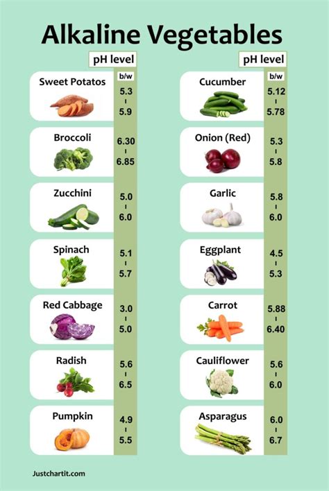 Alkaline Acidic Food Chart Printable