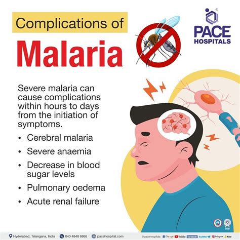 Malaria Symptoms Causes Types Complications Prevention – NBKomputer