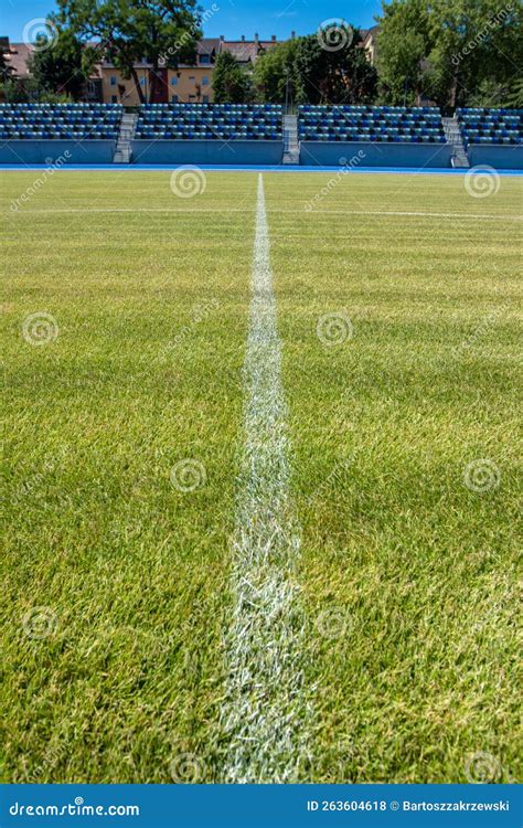 Grass on the soccer field stock photo. Image of pitch - 263604618