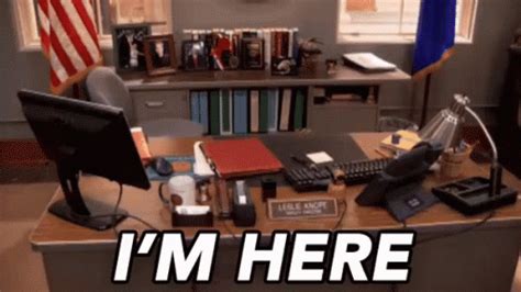 I'm Here (and Super Composed) GIF - ParksAndRecreation AmyPoehler ...