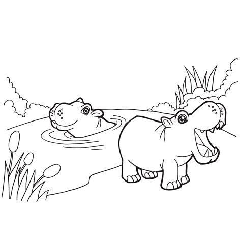 Coloring Cartoon Hippo Hippopotamus Outline Clipart Pages Drawing 2600 ...