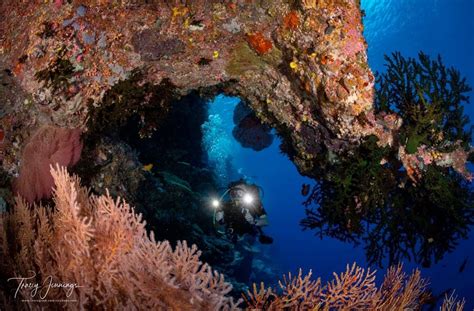 Solomon Islands Diving, an essential guide - Master Liveaboards