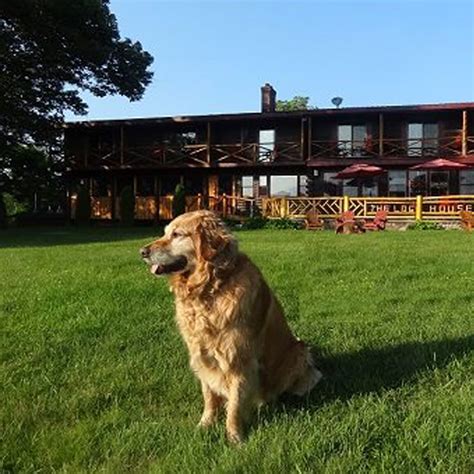 Pet Friendly Lodging In The Adirondacks: Hotels, Campgrounds & More