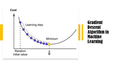 Gradient Descent Algorithm in Machine Learning | Data Science | Machine ...