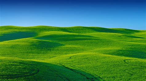 Greenary Landscape Wallpapers | HD Wallpapers | ID #23993