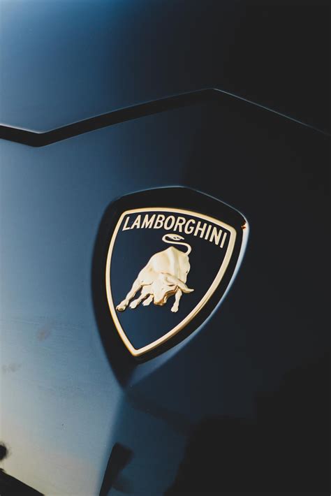 Lamborghini logo meaning and history - LamboCARS