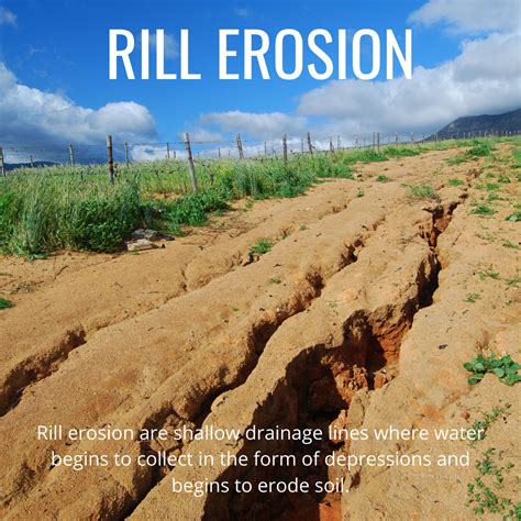 6 Types of Soil Erosion | GO Seed