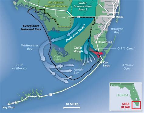 Florida Bay: A Unique Everglades Estuary – Everglades Foundation – Medium