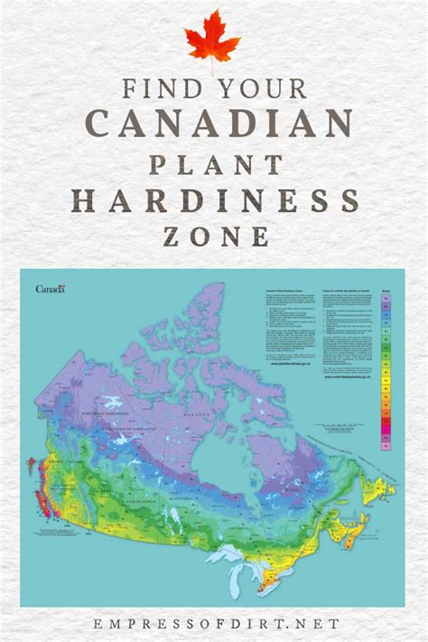 How to Find Your Canadian Plant Hardiness Zone — Empress of Dirt