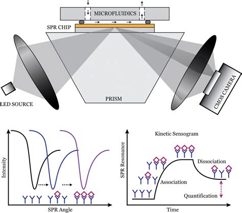 Surface Plasmon Resonance Technology. Angular, spectral, electro ...