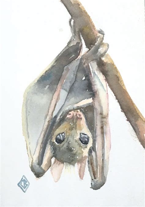 Little Bat - 5x7 Original watercolor painting - baby animal, nature art ...