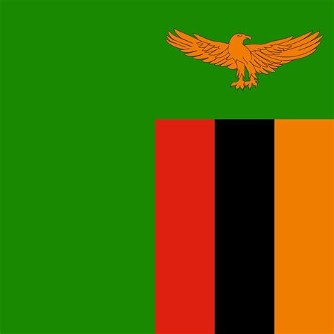 Zambia flag, official colors. Vector illustration. 8972628 Vector Art ...