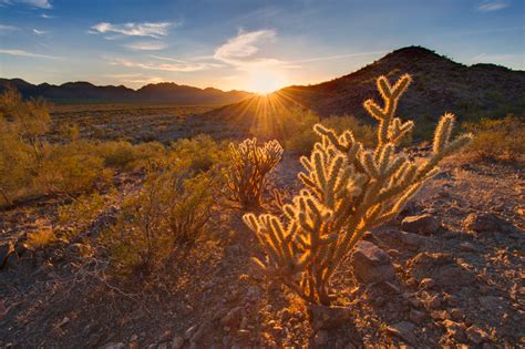 Sonoran Desert National Monument, Part Two - Shawn Beelman Photography