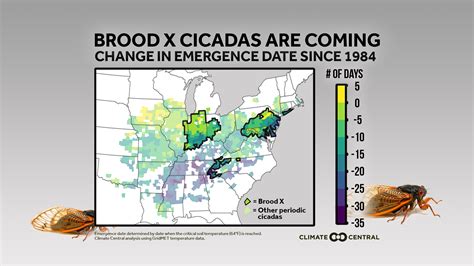 Cicada Broods Map 2024 - Irita Annecorinne