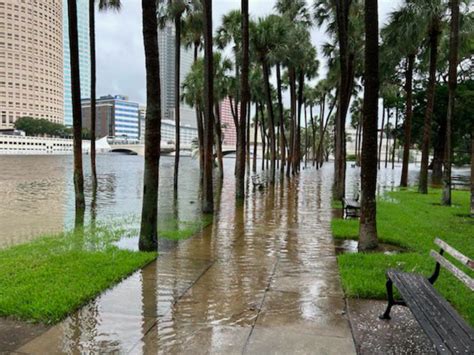 Idalia storm surge brings extensive flooding to downtown Tampa's ...