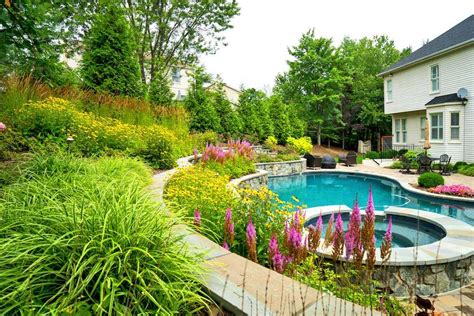 Landscape Design Ideas for Your Pool: Plants for Poolside Perfection