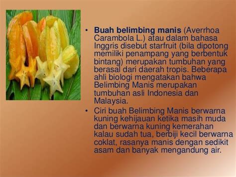 Manfaat buah belimbing manis serta bahaya belimbing manis AKPER PEMKA…