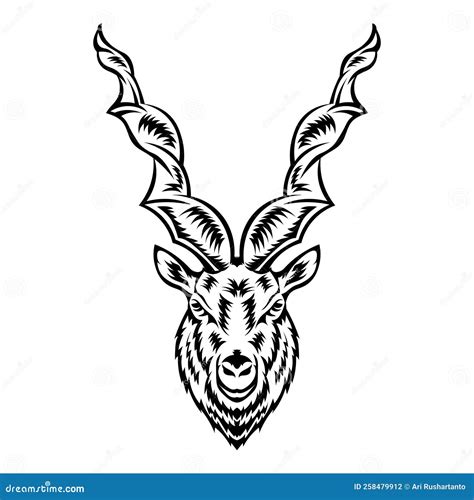 Markhor Goat Face Vector Illustration in Decorative Design Style Stock ...