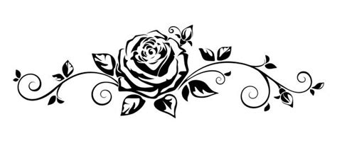 Rose Vine Stock Photos, Pictures & Royalty-Free Images - iStock