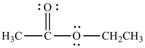 Ester Functional Group Examples