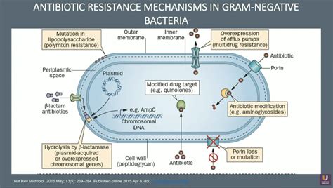 Multi-Drug Resistance Bacteria Recent Trends in Uropathogens