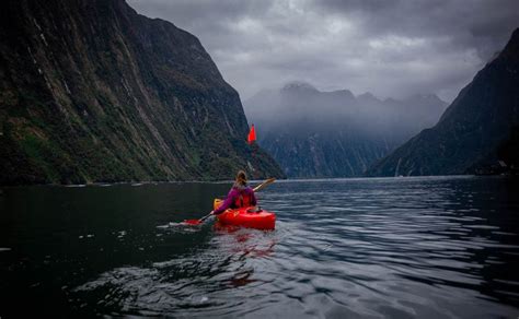 Kayaking in Milford Sound - Everything you NEED to know before you go!