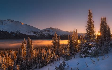 nature, Landscape, Winter, Sunrise, Mist, Mountains, Forest, Snow ...